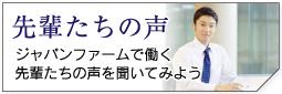 先輩たちの声